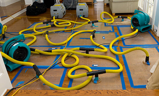 Professional Water Damage Repair technician working in Seabrook, NH